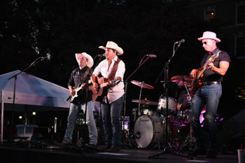 Picture of Night on the Lawn